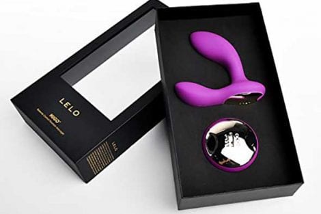 Lelo Hugo Sex Toy