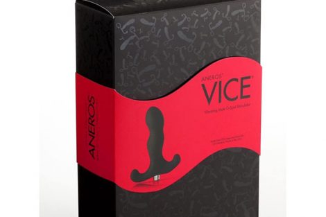 Aneros Vice 2 Case