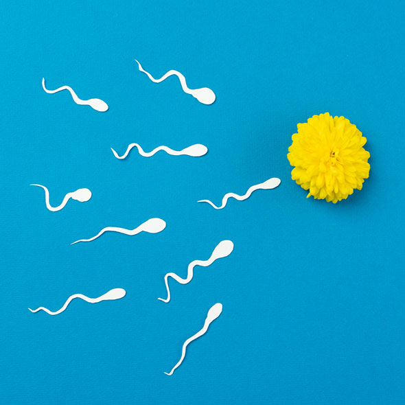 Will Lubricant Harm Sperm if I’m Trying to get Pregnant?