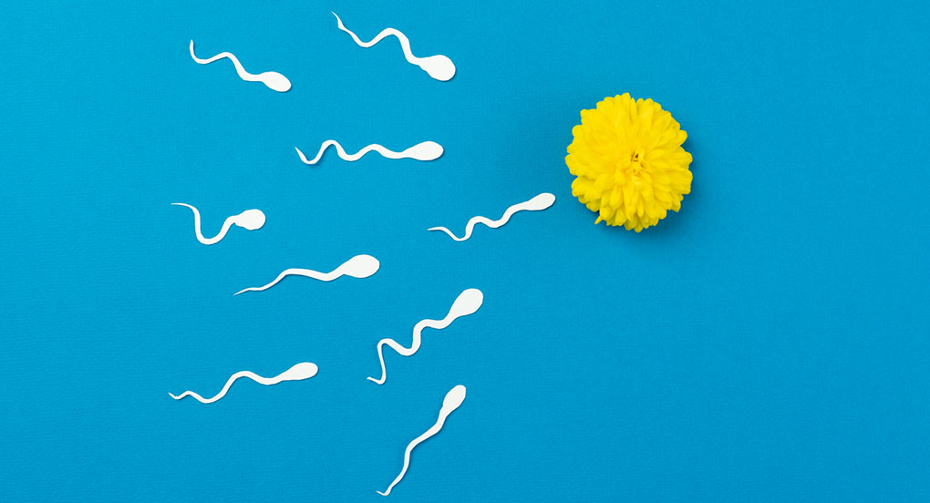 Will Lubricant Harm Sperm if I'm Trying to get Pregnant?