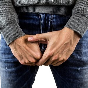 Penis, Scrotum And Testicles Anatomy